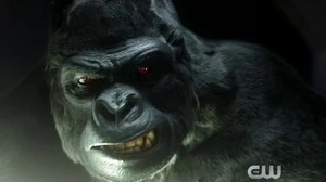 The_Flash_Trailer_for_Season_1's_Final_Episodes