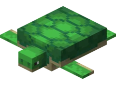 Get Wallpaper Tortuga Minecraft Wikia Tortuga Wiki Fandom HD