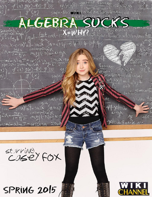 Algebra Sucks poster