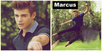 Marcus