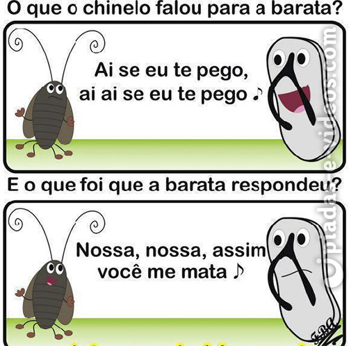 Medo de Barata?Aqui esta a Solução! - Meme by bbrandao33 :) Memedroid