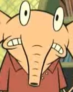 Raj dans Camp Lazlo