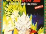 Dragon Ball Z : Broly le Super Guerrier