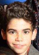 Cameron Boyce = Luke Ross