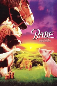 Affiche du film