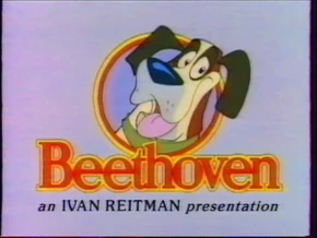 Affiche de la série