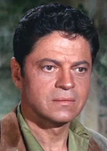 Ross Martin