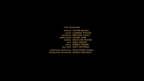 Carton du doublage français (1/4)