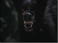 Сб643.jpg (29 КБ) Аватар под аккаунтом Собака Баскервилей 643