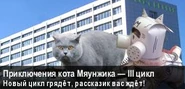 Баннер Мяунжик Вики (июль — август 2016)