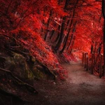 Аватар бота участника, установлен в феврале 2022 года