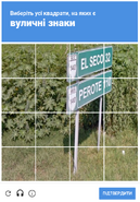 CAPTCHA 1