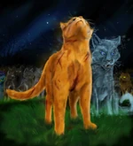 Звёздный кот.jpg (74 КБ) Аватар под аккаунтом Грозный бульдог