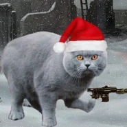 Fraer3.jpg (124 КБ) Восьмий аватар: новорічний кіт Рекс з авторських розповідей