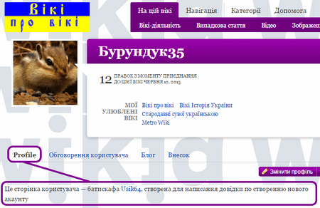 Приклад тестового акаунту адміністратора локальної вікі із зазначенням інформації в профайлі віртуала