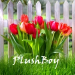 Тюльпаны в клумбе. Аватар стоял с марта по октябрь 2018