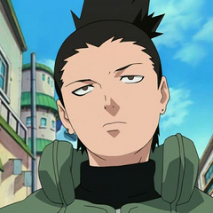 Shikamaru Nara, Narutopedia