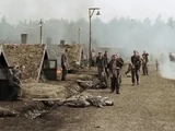 Why We Fight