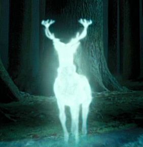 EXPECTO PATRONUM  Por trás dos Feitiços de Harry Potter 