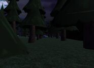 The Forest