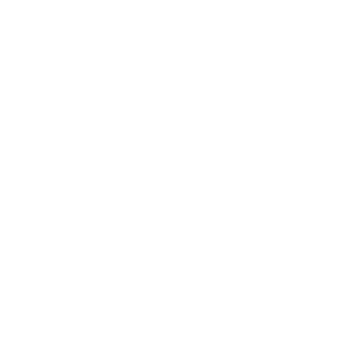The Wiki Wiki