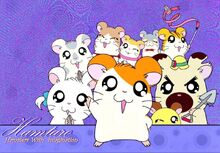 Hamtaro amigos