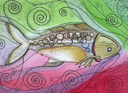 魚的外觀和構造