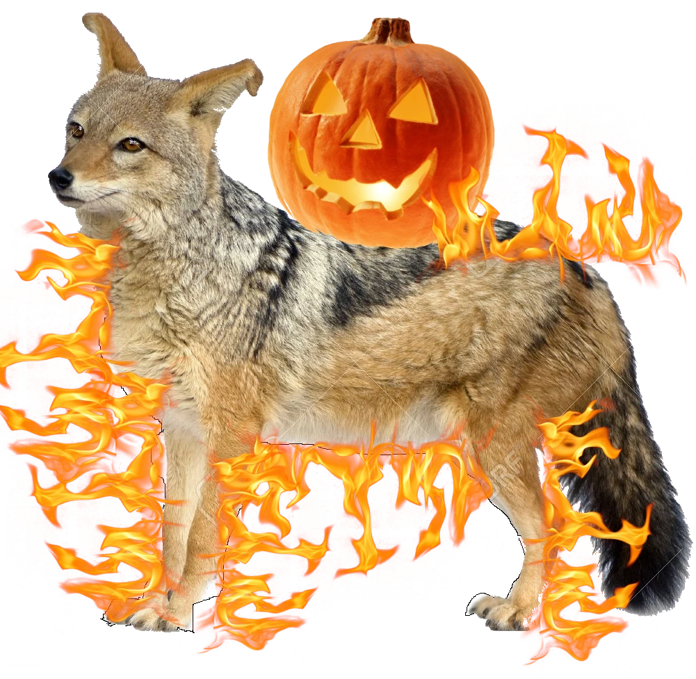 Jackal-Lantern | Role-Play Grid | Fandom