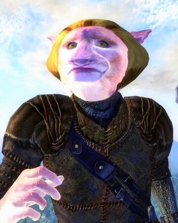 Autism Cat The Elder Scrolls Wilburgur Wiki Fandom