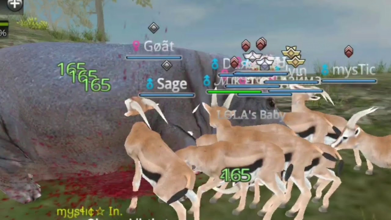 Gazelle | Wild Animals Online Wiki | Fandom Gazelle | Wild Animals Online Wiki | Fandom