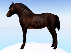 Wild Horse Islands Roblox Autumn Dapple Quarter Horse Autumn 22 Limited