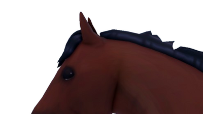 Clydesdale World - Lets Play Roblox Horse Heart Online Horses Game Play  Video 