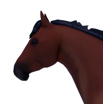 Things You Did Not Know About the Appaloosa - Welcome to Horse Properties Blog