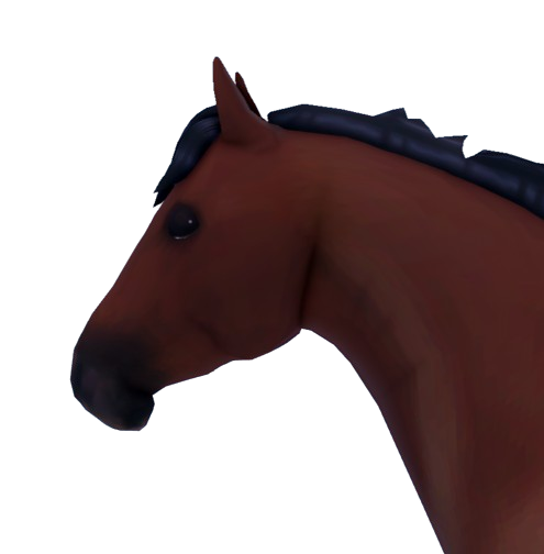 Horse World Codes - Roblox December 2023 