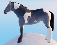 Pearl Sabino Clydesdale Wild Horse Islands (Download Now) 