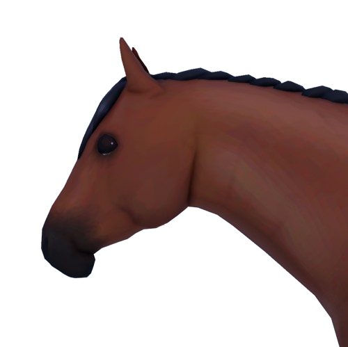 Wild horse island Roblox Friesian horse in 2023