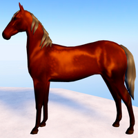 ✨Co-foaling✨WILD HORSE ISLANDS CODES - WILD HORSE ISLANDS CODES 2023 - ALL WILD  HORSE ISLANDS CODE 