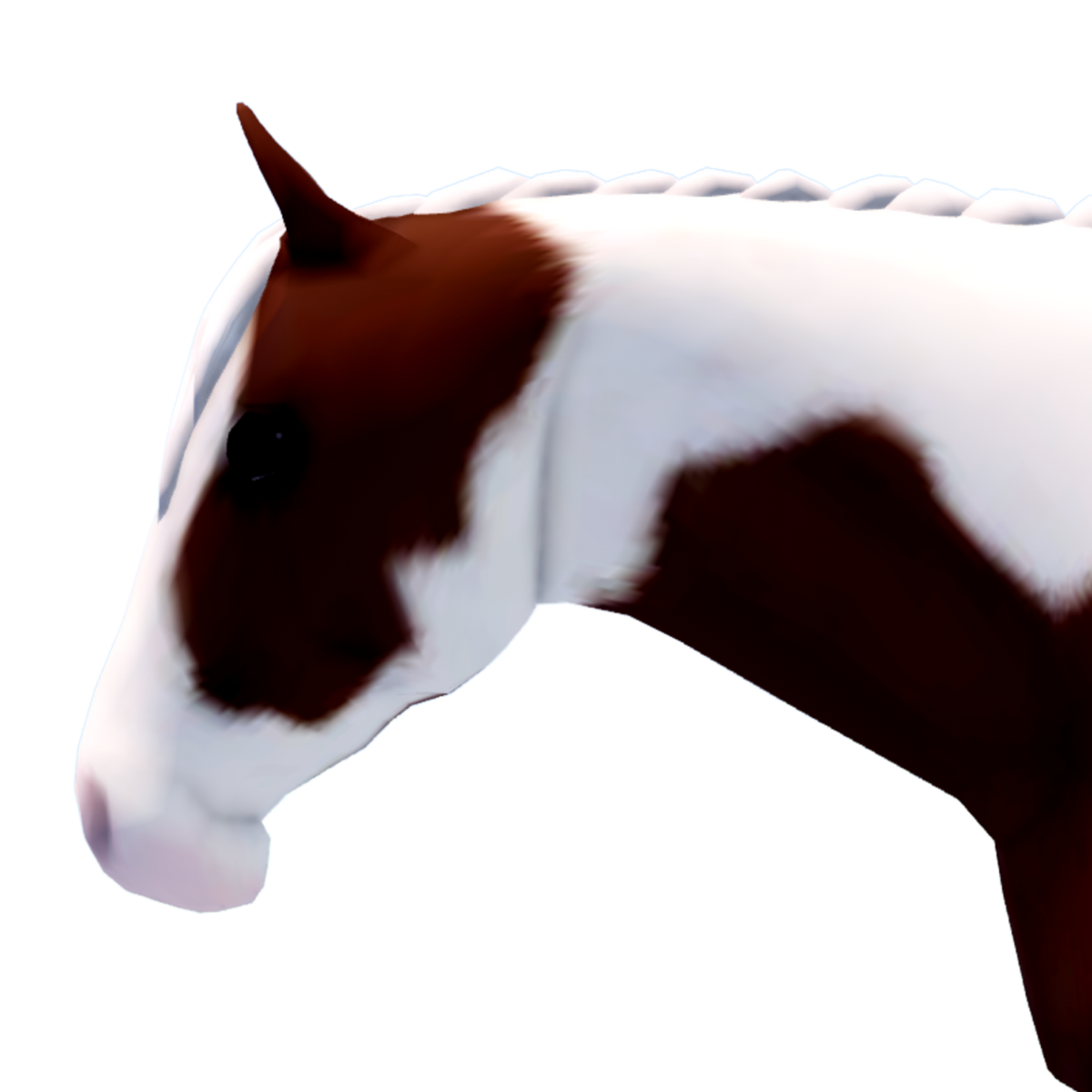 Paint Horse Wild Horse Islands Wiki Fandom