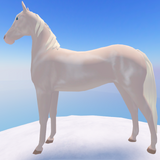 cremello akhal teke horse