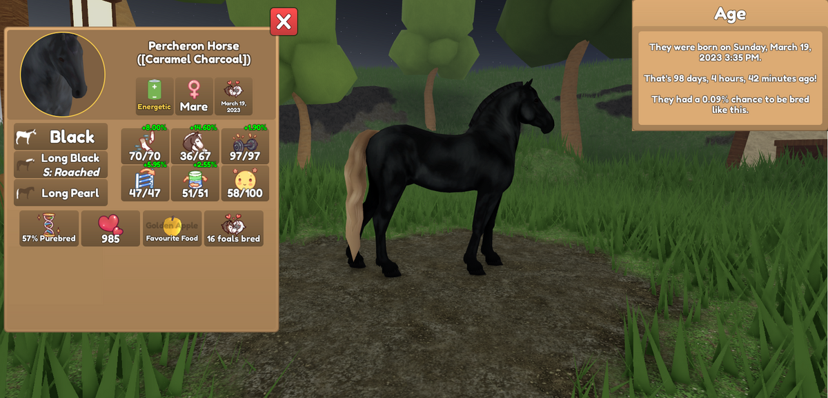 Wild Horse Islands Codes For December 2023 - Roblox