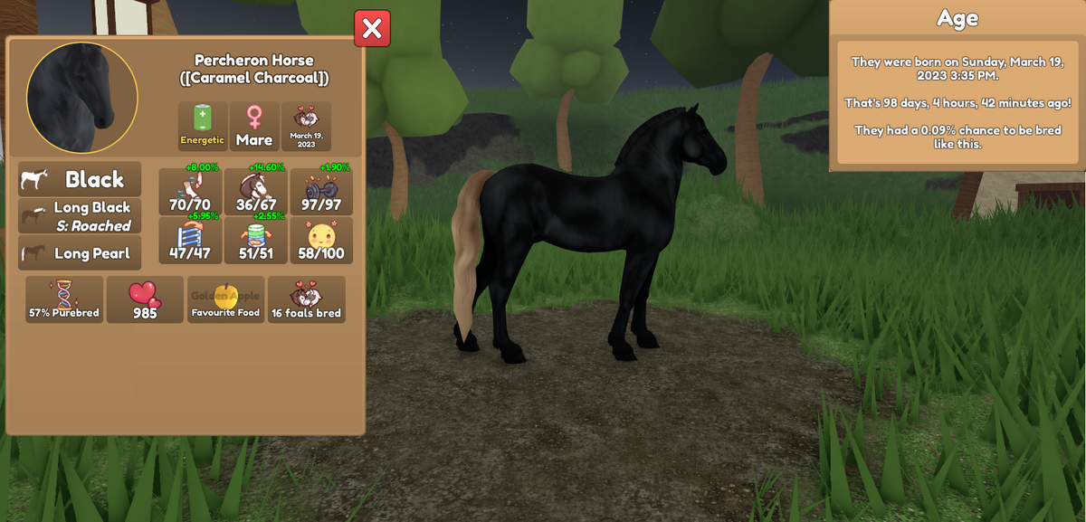 Wild horse island Roblox Friesian horse in 2023