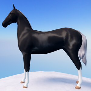 Wild Horse Islands Codes For December 2023 - Roblox