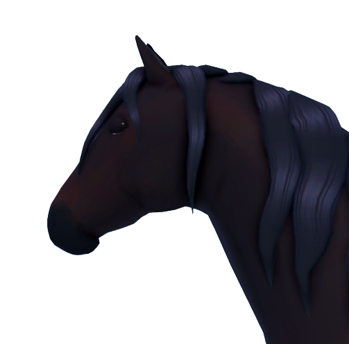 Wild Horse Islands novo jogo de cavalo no roblox! 