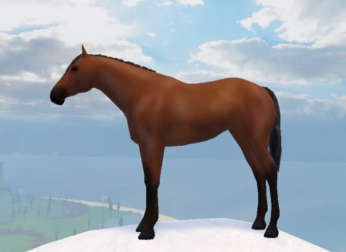 Pure Mane & Tail List Wild Horse Islands Wiki Fandom