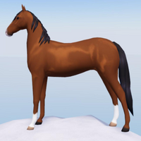 Códigos para Wild Horse Islands no Roblox – Dezembro de 2022