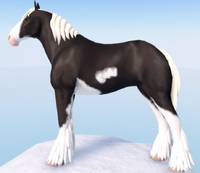 Pearl Sabino Clydesdale Wild Horse Islands (Download Now) 