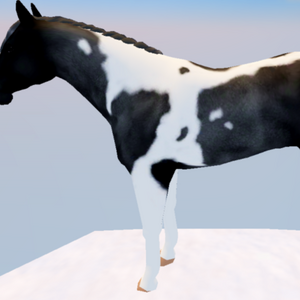 chimeric paint horse
