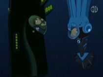 Whale of a Squid Wild Kratts Info Center Wiki Fandom
