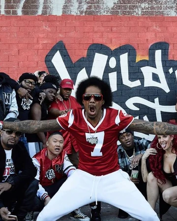 wild n out crop hoodie