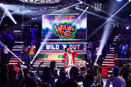 Wildnout01 courtesy